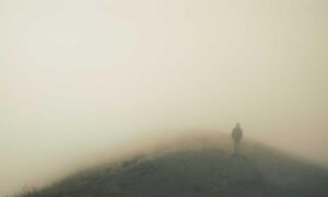 advantages of meetshaxs software