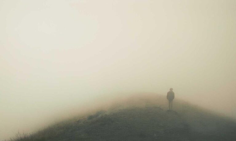 advantages of meetshaxs software