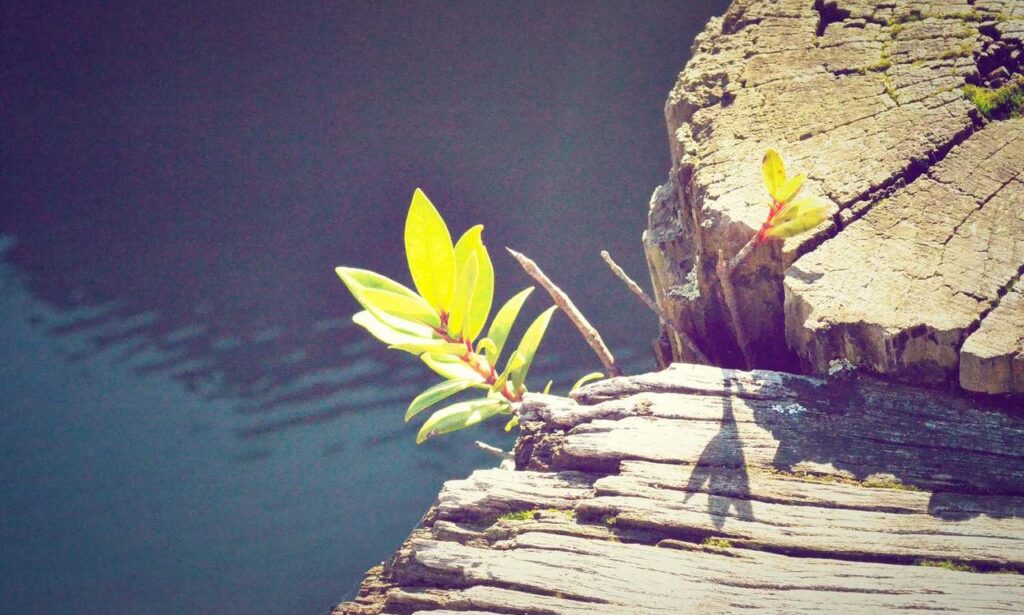 fix zenvekeypo4 software issue