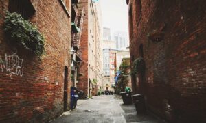 how zillexit software can be stored safely