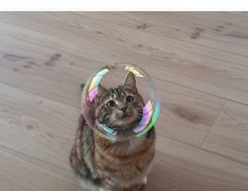 shotscribus software upgrade