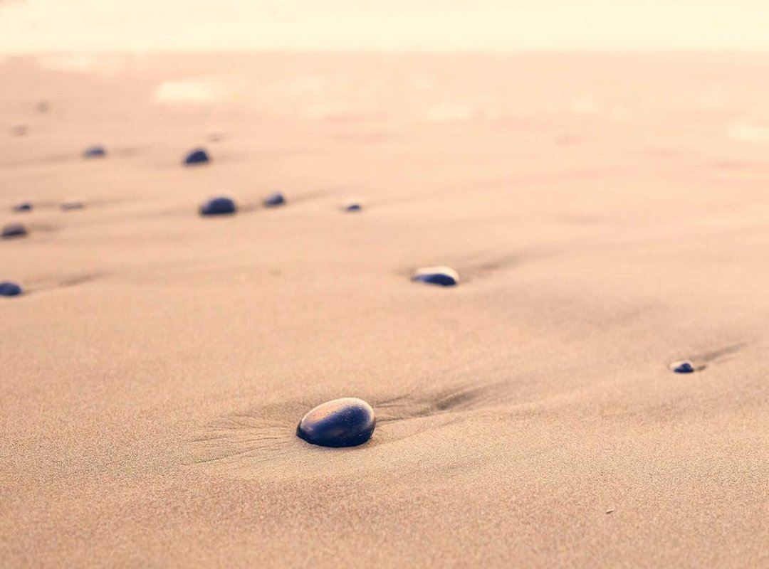 Beyond the Score: Advanced Features You Shouldn't Ignore