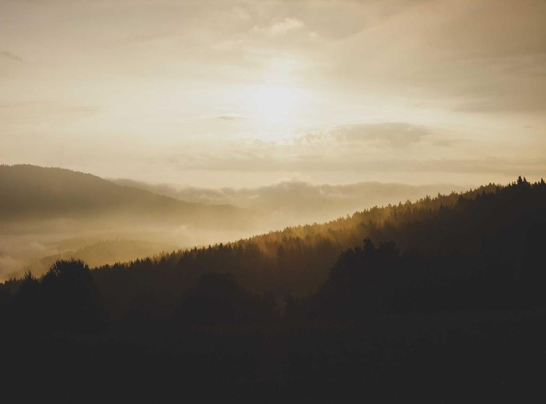 The 'No Blur' Controversy: Media Ethics and Online Reality