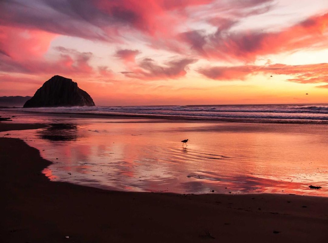 Our Top 3 Chloe Maddren Styles: A Detailed Review