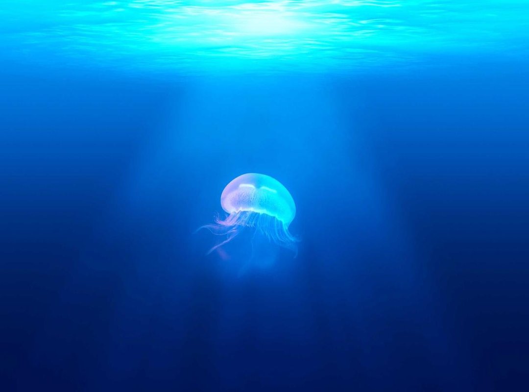 Beyond the Metrics: The Role of Style in Feid's Image