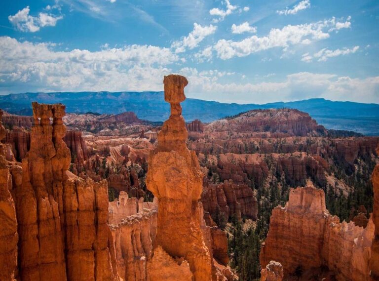 hawkes bay couriers (hub)