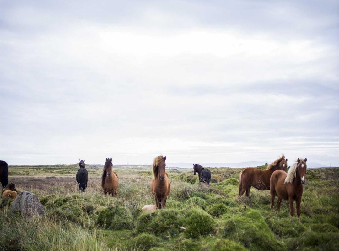 The Paternal Heritage: A Foundation of Athleticism