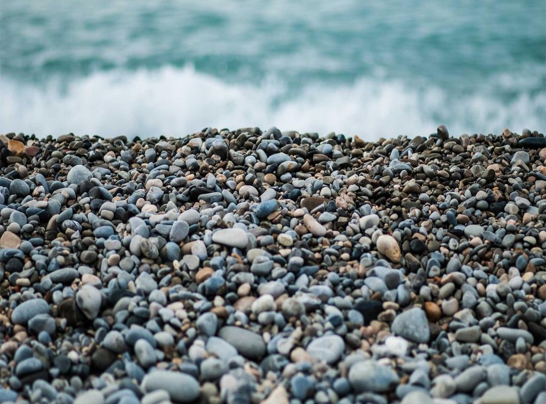 Action and Combat: Highlights of the Battles