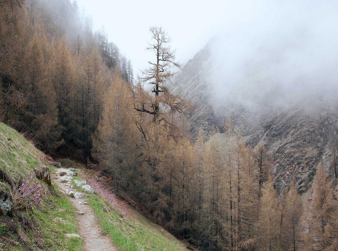 Aesthetic Choice vs. A Cry for Help: Recognizing the Difference