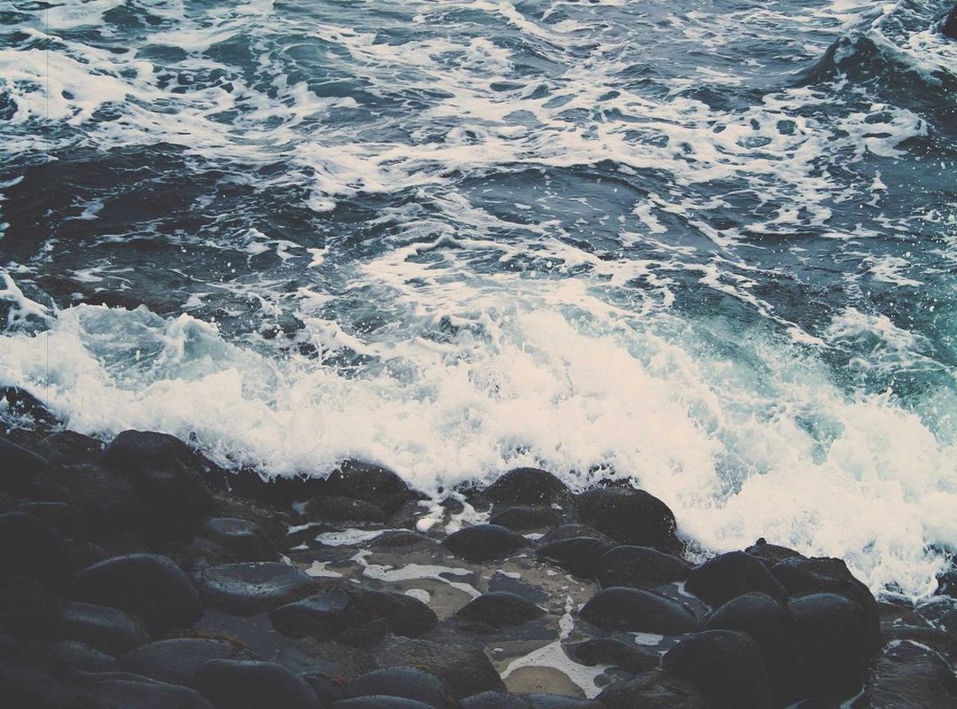 Where to Watch: Streaming and Availability