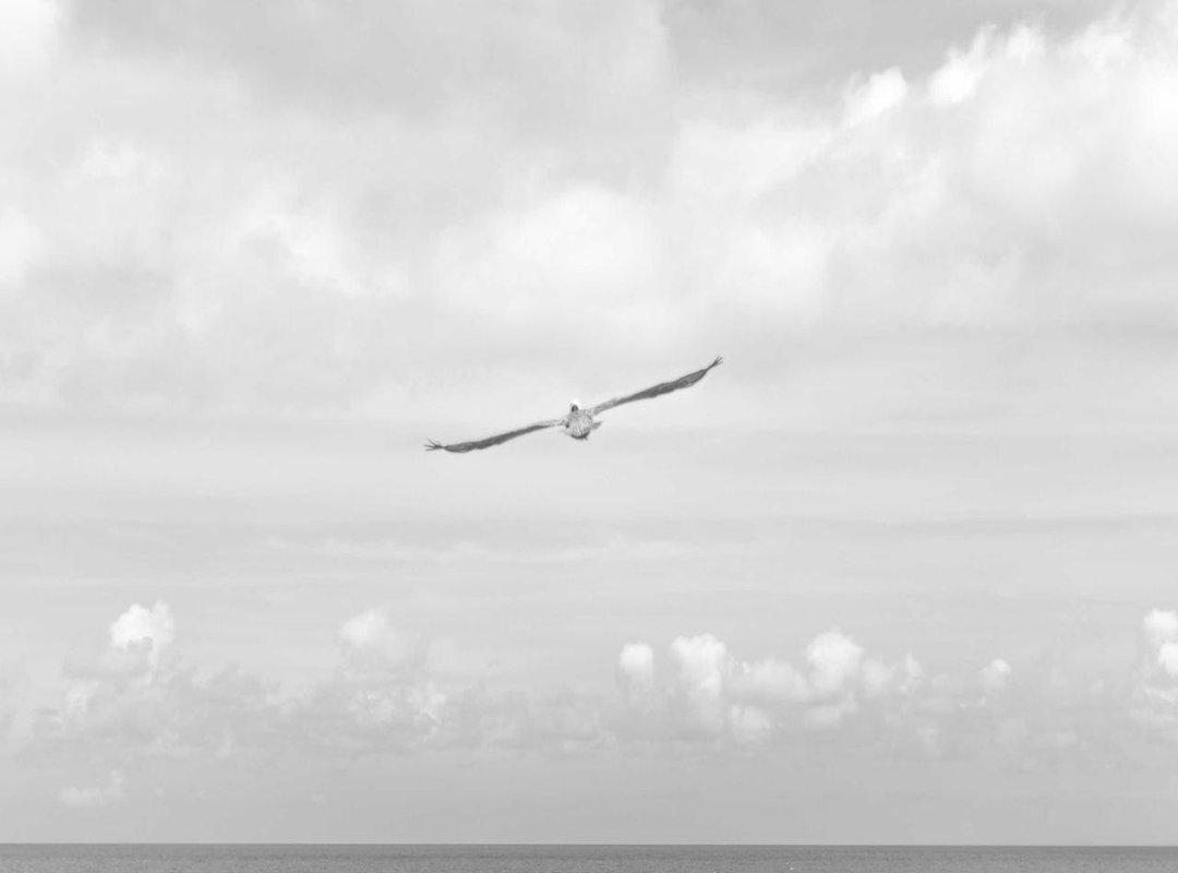 The Modern Era: A Timeline of 21st Century Showdowns